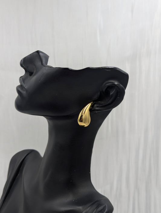 Drop Earrings